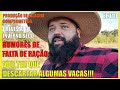 vou ter que descartar algumas vacas por falta de comida - ep.110