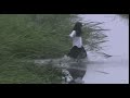 Silent Hill 3 Mall Scene ( slowed + reverb )