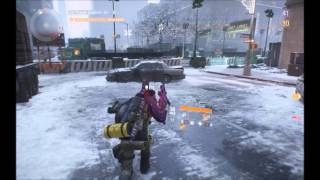 The Division Accidental Rogue