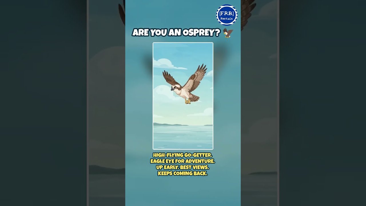 Which Delaware Beach Creature Are You? Osprey Edition | FRB Rentals #Shorts
