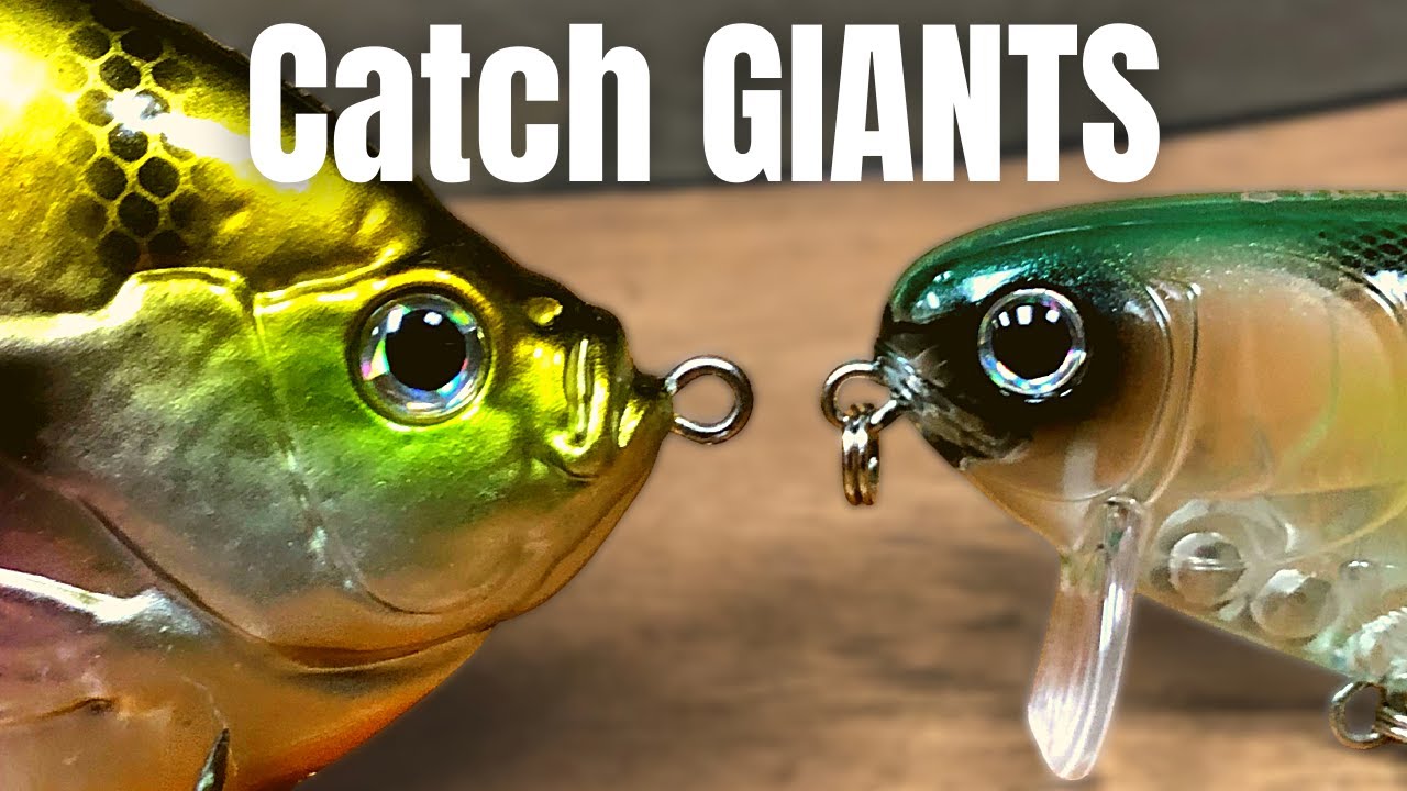 The BEST BIG BASS Pattern For SUMMER Fishing (Catch GIANTS)