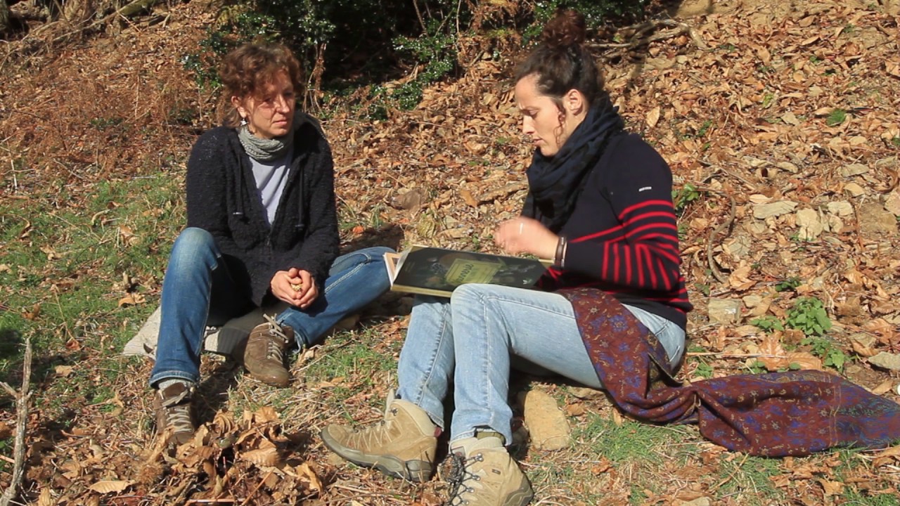 Vannerie buissonnière