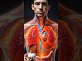 What Happens Inside Your Body When You Eat Garlic? 🧄 #humanbody #ai #3danimation