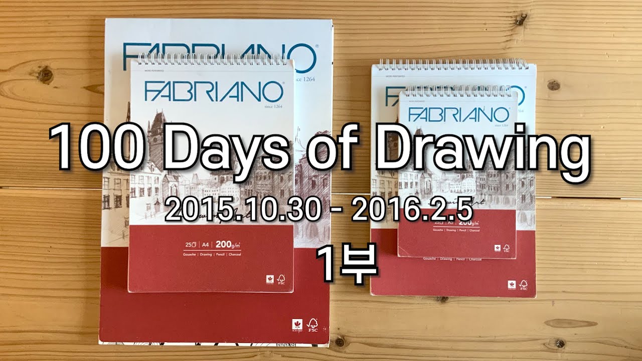 The 100 Day Project 1| Sketchbook Tour - YouTube