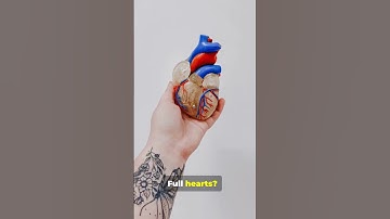 What If 3D Printed Organs Became a Reality in Surgery Today?