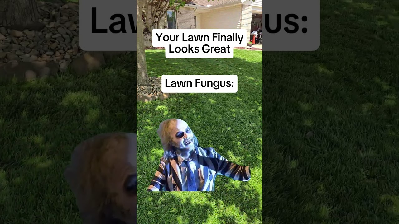 Every lawn owner's worst nightmare #lawncare #meme #relatable