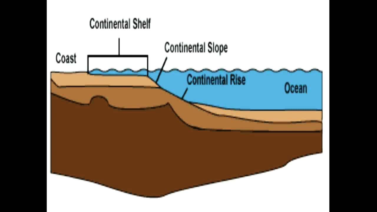 Continental Shelf and Continental Slope. Learngeography. YouTube