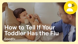 How To Tell If Your Toddler Has The Flu Goodrx