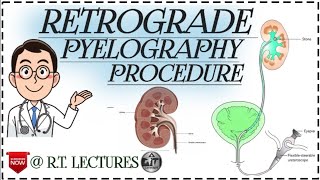 Pyelography Procedure Pyelogram , Contraindications, Procedure