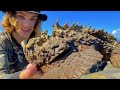 Catching Worlds MOST VENOMOUS FISH (STONEFISH)