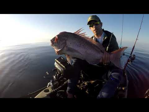 PESCA CON TAI