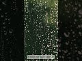Gentle Rain for Anxiety Relief 😌 Rain ASMR — Calm in 60 Seconds  #rain #shortsfeed #raintherapy