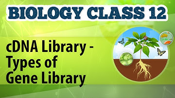 cDNA-bibliotheek - Soorten genenbibliotheken - Biotechnologisch proces en toepassing - Biologie k...