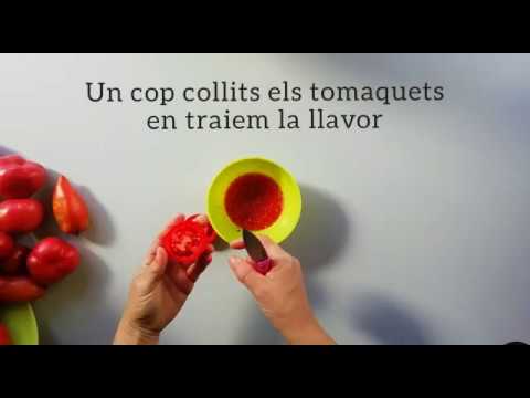 Vídeo: Trasllat De Planters De Tomàquet A Terreny Obert