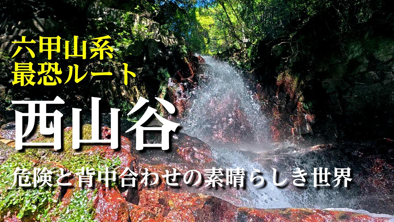 【バリ山行】六甲山系最恐ルート西山谷_危険と背中合わせの美しき世界