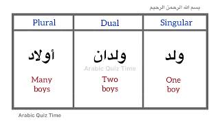 Learn Arabic | Arabic Grammar | Singular, Dual and Plural in Arabic Language