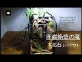 【アクアリウム】断崖！木化石で滝が流れるアクアテラリウムを作る/kotobuki クリスタルキューブ150H/Make an aquaterrarium from fossil wood