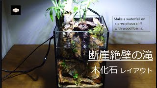 【アクアリウム】断崖！木化石で滝が流れるアクアテラリウムを作る/kotobuki クリスタルキューブ150H/Make an aquaterrarium from fossil wood