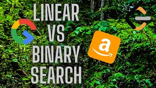 Binary Search vs Linear Search: The Most Efficient Searching Algorithm | O(n) vs O(logn)