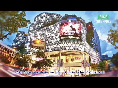 CapitaLand in Vietnam -  A Long Term Real Estate Developer