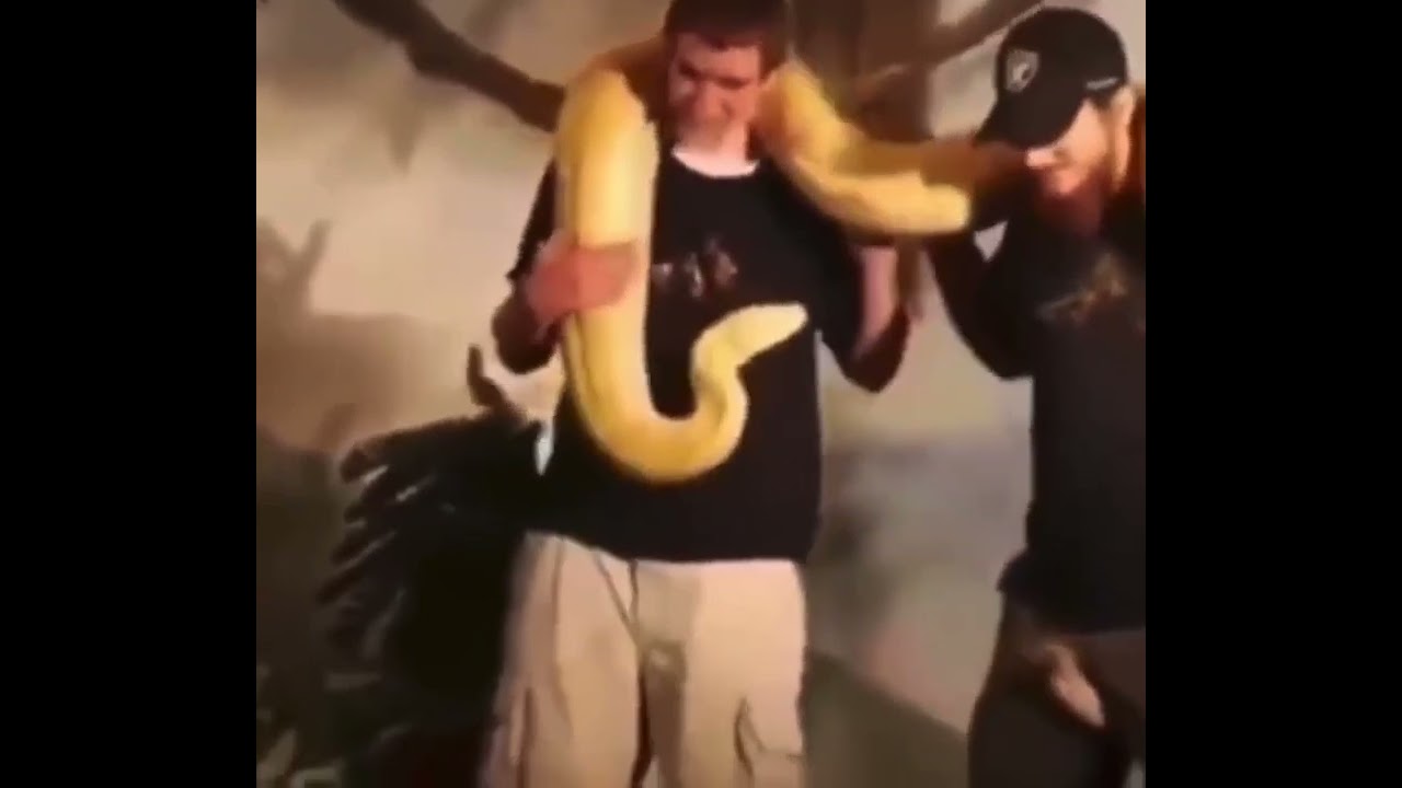 27 марта 2023 г.