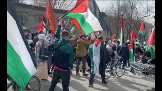 Day One of McGill \& Concordia University Student Encampment in Support of Palestine