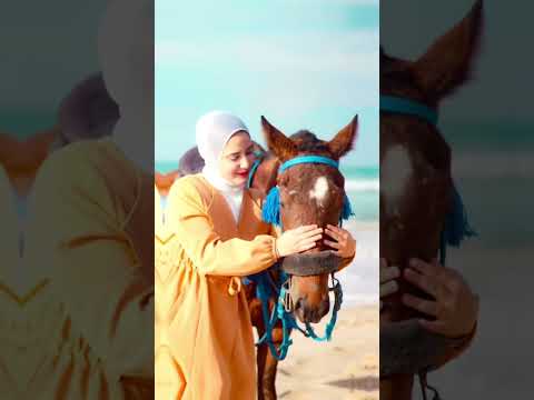 جلسة تصوير مع الخيل التصوير تصويري تصميمي تيك توك ترند تركيا فديو انستا انستقرام اكسبلور