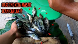 MASAK IKAN CABLAK HASIL MANCING SELAMA BERBULAN-BULAN ‼️