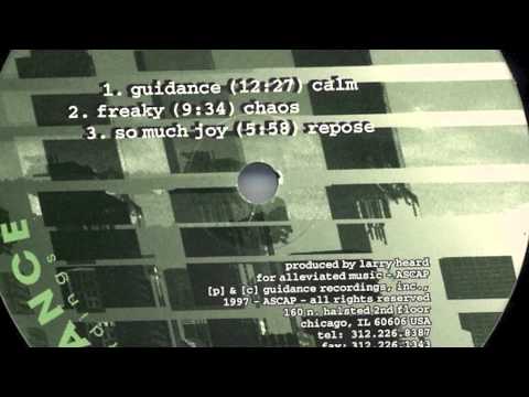 Larry Heard - So Much Joy (repose)
