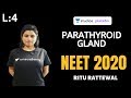 L4: Parathyroid Gland | Endocrine System | Pre-medical - NEET/AIIMS | NEET 2020