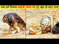 ईगल शिकार करने आया था पर उल्टा सांप ने ही निपटा डाला 😂🤣 ll Wild animal encounter cought on camera