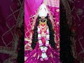 मां मरघट वासिनि जी के सुबह के दर्शन #Guru#maa#ka#ladla#kalka#navdurga#darbar#roorkee #viralvideos