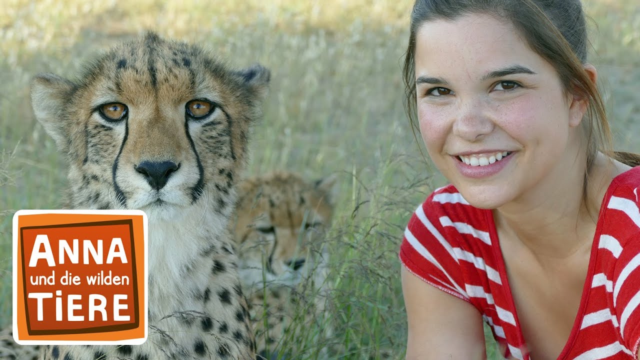 Leopard, Marder, Puma, Fuchs- Angriff im Staub- Heidesturm 2024