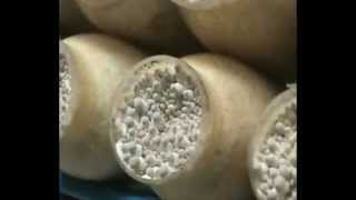 Automated Mushroom Cultivation 1 video