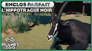 Les Hippotragues Noirs | LES ENCLOS PARFAITS : EPISODE 34 | PLANET ZOO