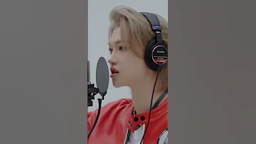 Felix Deep Voice Case 143 Japanese Version Straykids Felix Kpop 