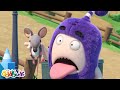 ジェフの新しいペット 👾 Oddbods 日本語 👾 オッドボッズ 👾 子供向けアニメ