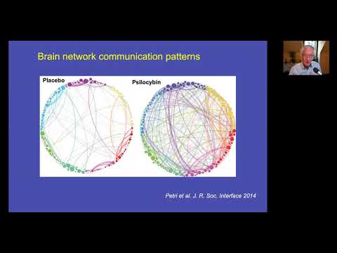 Psychedelic Science: Therapeutic Implications and Ethical Challenges 