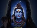 Koi Kahe Tu Kasi Mehai 2026 Harharmahadev Song
