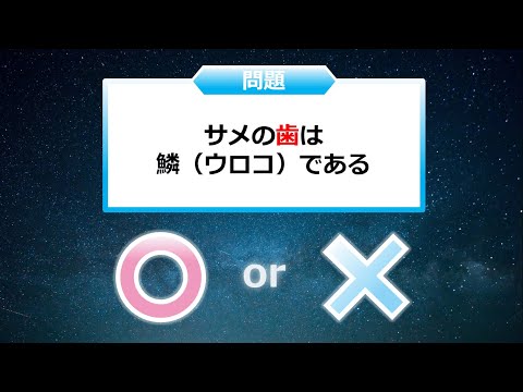クイズ２択王 建物の雑学 住宅 ちょっしー クイズ２択王 Note