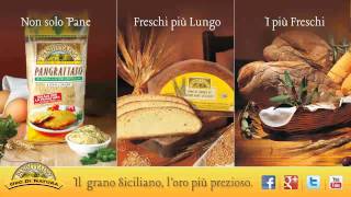 Pandittaino - I nostri prodotti