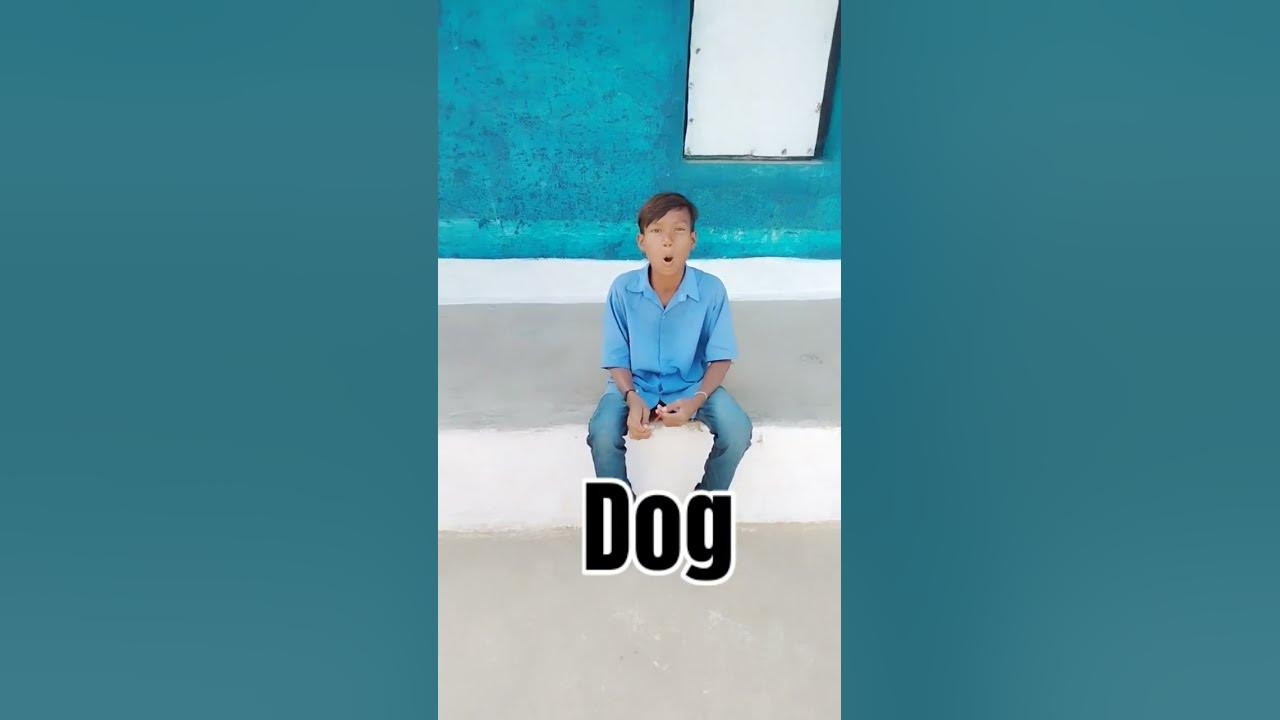 wait-for-the-end-dog-funny-youtube-shortsviral-comedy-trending