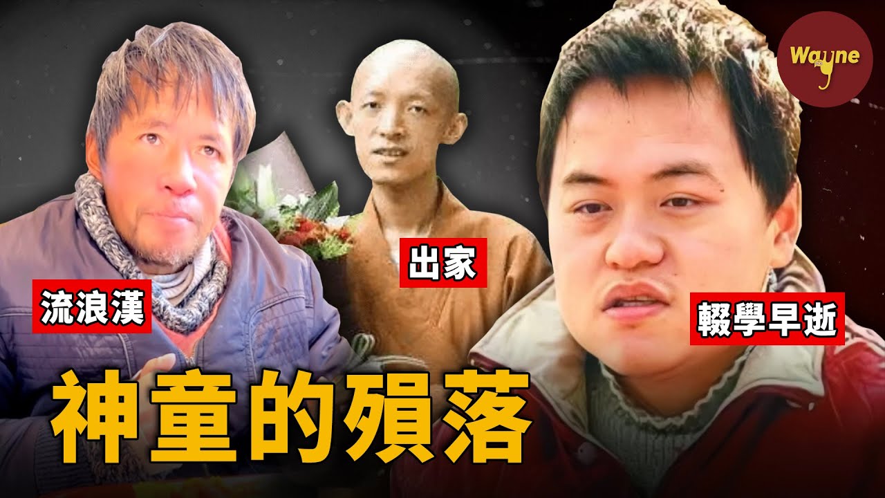 天才的掙扎，兩歲識千字，十歲上大學，天賦異稟的他們卻為何遭到命運的反噬？｜Wayne調查