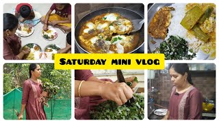 #saturday /minivlog/lunch recipe/முட்டை மிளகு தொக்கு@muthulakki like& subscribe friends 🤗