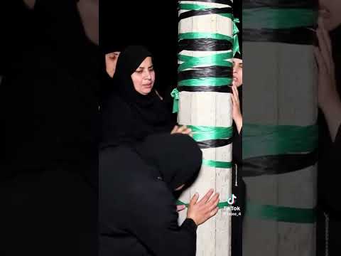 السيد عامود