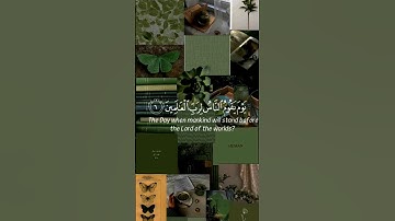 سورة المطففين ✨💚 بصوت احمد العجمي #اكتب_شي_تؤجر_عليه #قرآن #سورة