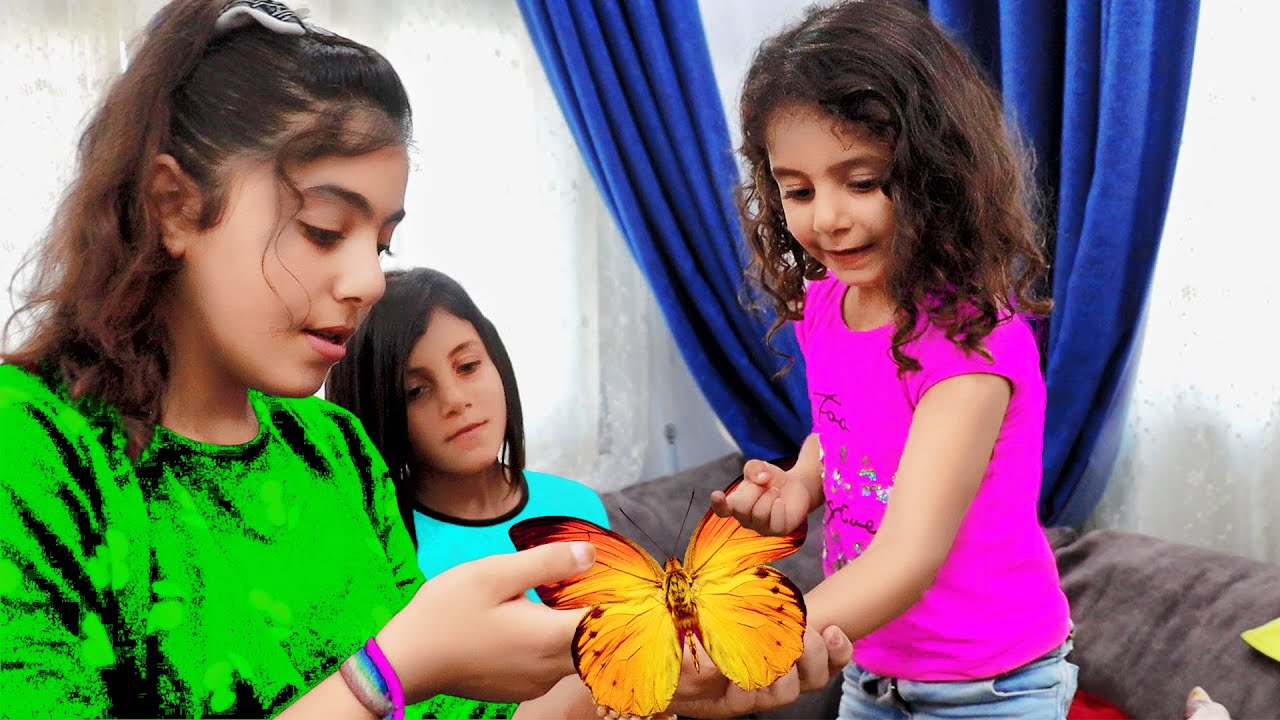 لما بنتك تمسك فراشة في البيت ولانا تبكي عليها لما طلعت من الدار 🦋