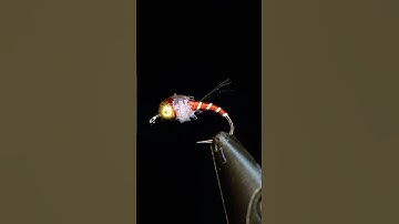 Yuletide Midge! Read Description ☺️