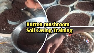 Casing Soil Preparation for Button Mushroom Farming || Hi Tech AC Mushroom Farm with देसी जुगाड़.