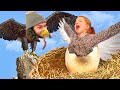 Gambar cover LEARNING TO FLY!!  Adley finds Hidden Baby Eagle Eggs in Backyard! Animal Makeover for new VR game!